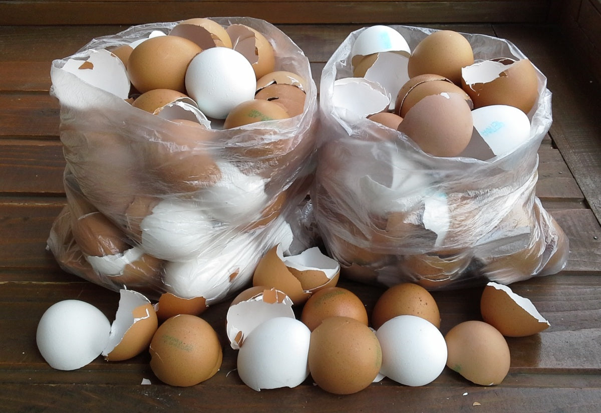 Το Τσόφλι Αυγού: Ένας Φυσικός Θησαυρός για το Σπίτι και τον Κήπο