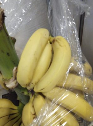 ΜΑΝΙΤΑΡΙ ΛΕΥΚΟ (Κωδ.: 0049)